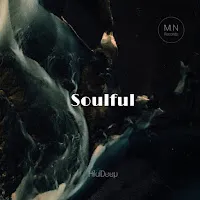 Hilaldeep — Soulful — обложка